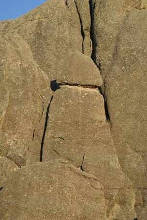 ingrandimento del pene